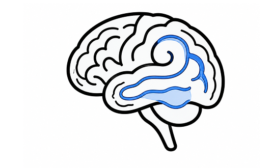 Cerebral venous disorders